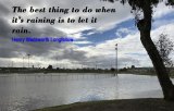 Steady rains the past two days has helped to fill local ponding basins, like this one at the Kings Lions Park.